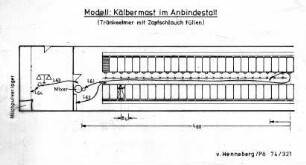 Modell: Kälbermast im Anbindestall (Tränkeeimer mit Zapfschlauch füllen)
