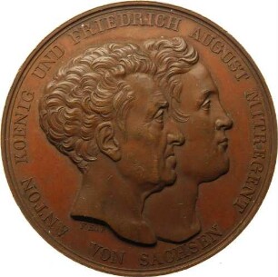 König Anton und Friedrich August - Verfassung