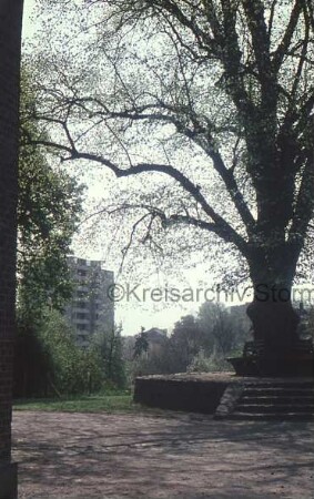 Kirchberg: rechts Baum mit umlaufender Bank auf Sockel: hinten links Hochhaus "Liebe": hinten rechts Villen an Kurparkallee