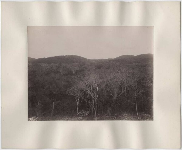 "Landschaft. Blick vom Tempel aus nach Westen."