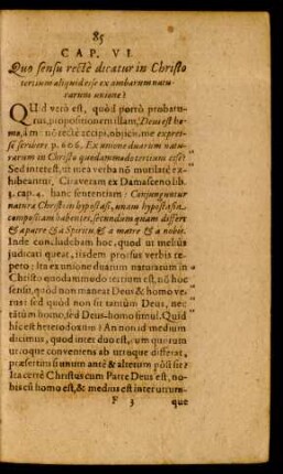 Cap. VI. Quo sensu recte dicatur in Christo tertium aliquid esse ex ambarum naturatum unione?