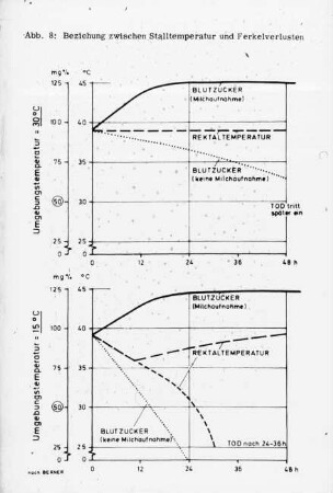 Beziehung zwischen Stalltemperatur und Ferkelverlusten (nach Bermer)