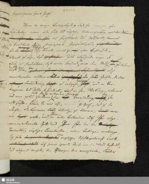 Nr. 84: Forster an "Hochgebohrner Herr Graf!". o.D. [1792].