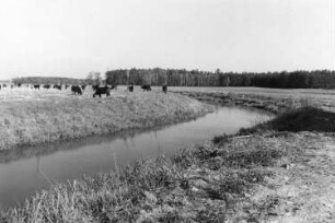Lohsa-Hermsdorf/Spree. Mühle, kleine Spree an der Mühle