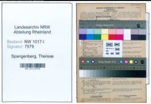 Entnazifizierung Therese Spangenberg , geb. 31.07.1880 ()