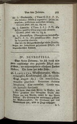 IV. Neuroptera