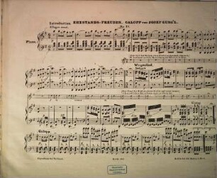 Ehestands-Freuden : Galopp ; op. 14