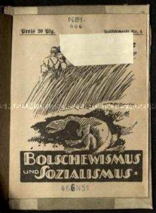 Kritische Schrift über den Bolschewismus