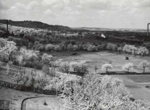 Cossebaude, Blick von den Höhen