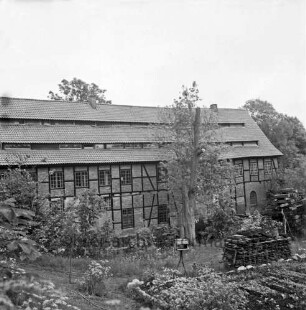 Drahtmühle nach Renovierung: vorn rechts Garten mit Vogelhaus: rechts dahinter zwei Stapel mit Holzbohlen und Brettern: in der Mitte Baum: links Büsche