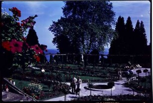 Insel Mainau: Rosengarten, Gesamtansicht