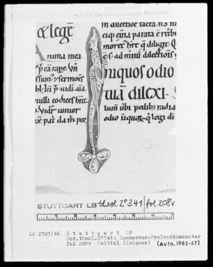 Petrus Lombardus, Psalmenkommentar — Initiale I (n iquos) aus einem Drachen, Folio 208verso
