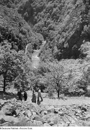 Blick ins Bodetal