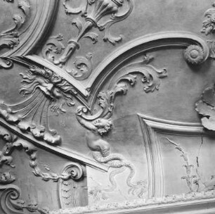 Stuckdecke mit Tritonen-Kindern : Neustadt-Glewe, Neues Schloss. Stuckdecke mit Tritonen-Kindern