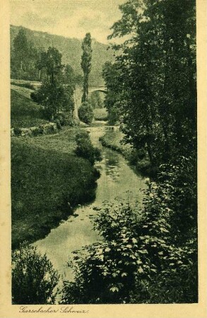Triebischtal-Garsebach. Die Triebisch "Auf dem Wege nach der Preiskermühle", Ansichtskarte