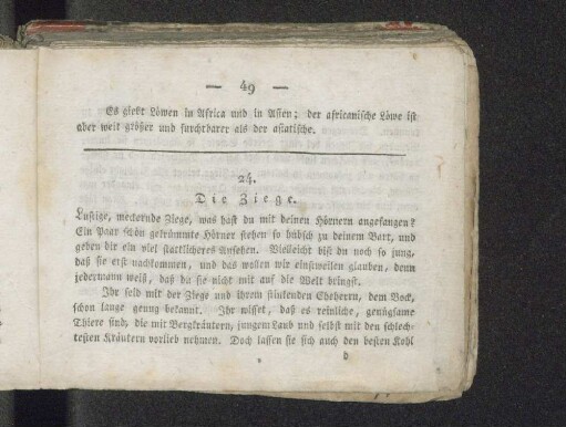 24. Die Ziege.