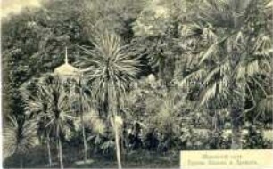 Botanischer Garten, Jalta?