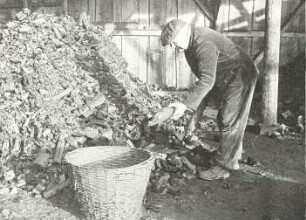Holzkohlenherstellung in Rietschen : Handwerkstechniken - Kohlen- und Pechbrennerei. Ort: Rěčicy / Rietschen. Köhlerei