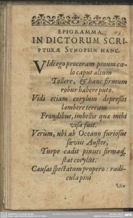 Epigramma In Dictorum Scripturae Synopsin hanc