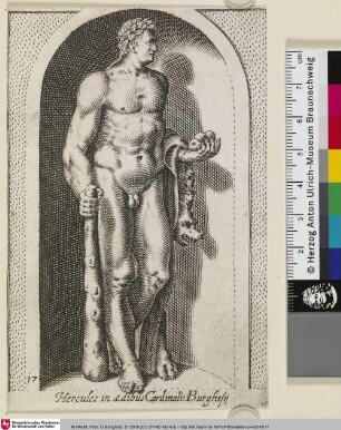 Hercules Imp. in ædibus Cardinalis. Burghesij
