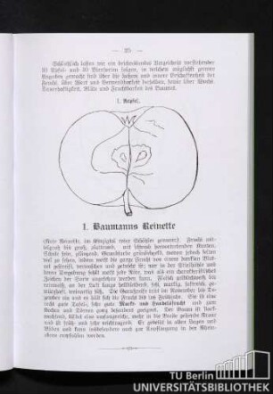 [Beschreibendes Verzeichnis vorstehender 30 Apfel- und 30 Birnsorten.]