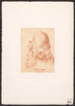 Leonardo 