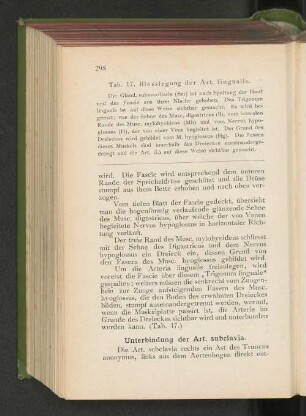Unterbindung der Art. subclavia.