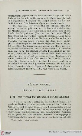 Fünftes Capitel: Bauch und Brust