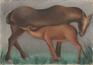 Pferd mit Fohlen