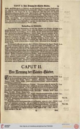 Caput II. Von Kennung der Säulen-Glieder