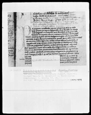 Hs. 655 & Weißer Ottobeurer Codex & Necrologium & Regula S. Benedicti & fol 655