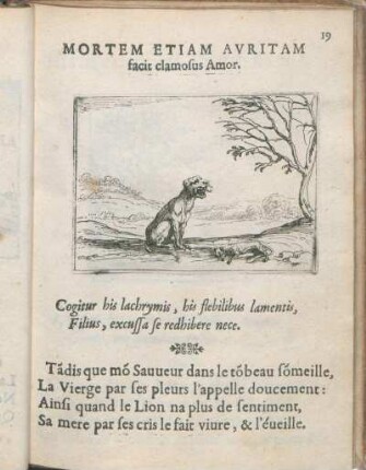 Mortem Etiam Avritam facit clamosus Amor.