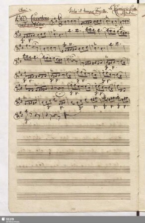 1303. Cavatina: Vola il tempo / Seydelmann, F.