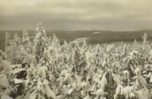 Winter im Erzgebirge. Blick vom Großen Lugstein nach Südwesten zum Wieselstein