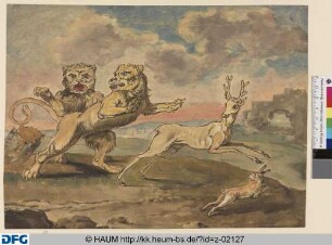 Reh und Hase, vor einem Löwenpaar fliehend