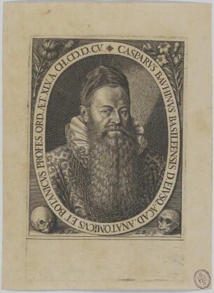 Bildnis des Casparvs Bavhinvs