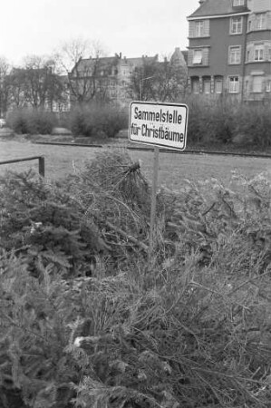Einrichtung von 52 Sammelstellen für Christbäume im Karlsruher Stadtgebiet