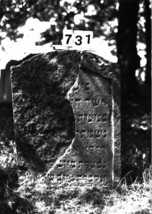 Grabstein 731