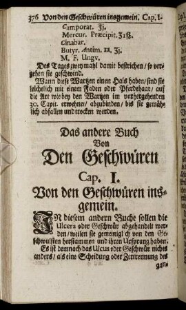 Das ander Buch Von Den Geschwüren.
