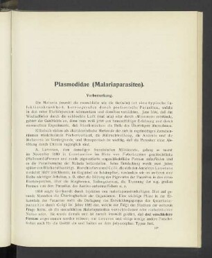 Plasmodidae (Malariaparasiten). Menschliche und tierische Malaria