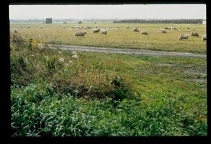 Flugplatz Gatow 20.10.84.