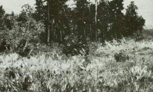 Spätsommer in Berka bei Weimar