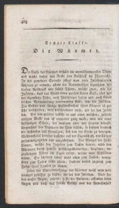 Sechste Klasse. Die Wuermer.