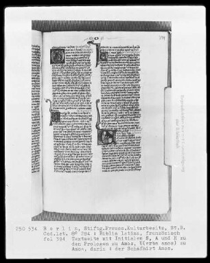 Biblia latina — Initiale V (erba amos), darin Amos als Schafhirte, Folio 394recto