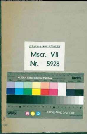 Urkundenabschriften aus dem Archiv der Stadt Eversberg