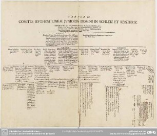 Tabula IX. Comites Rutheni Lineae Junioris, Domini In Schleiz Et Köstritz