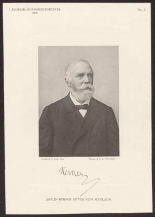 Kerner von Marilaun, Anton