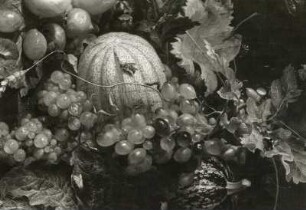 Stilleben mit Vogelnest : Heem, Jan Davidsz de. Stilleben mit Vogelnest. Öl auf Leinwand; 89 x 72 cm. 17. Jh.. Detail: Früchte und Insekten. Dresden Gemäldegalerie Alte Meister 1261