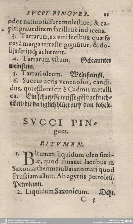 SUCCI PINGUES.
