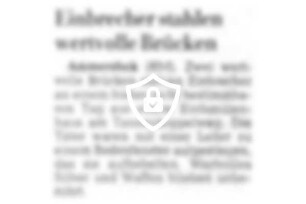 Einbrecher stahlen wertvolle Brücken